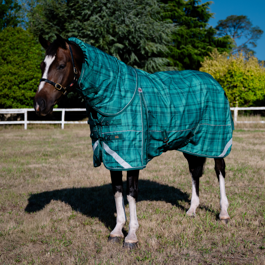 The Complete Horse Rug Guide: How to Choose the Right Rug for Your Horse