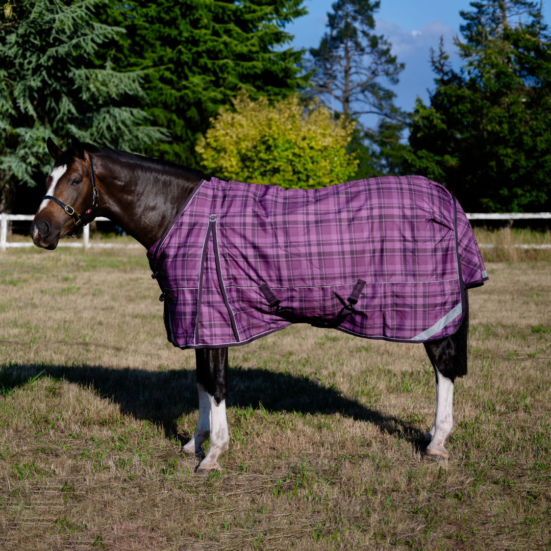 When to Rug Your Horse in Ireland: A Practical Seasonal Guide