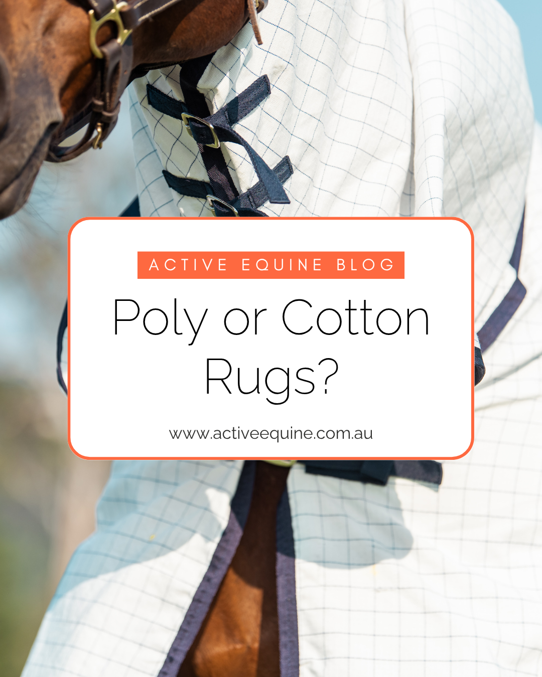 What the Experts Say: Our Team’s Take on Cotton and Polyester Ripstop Rugs