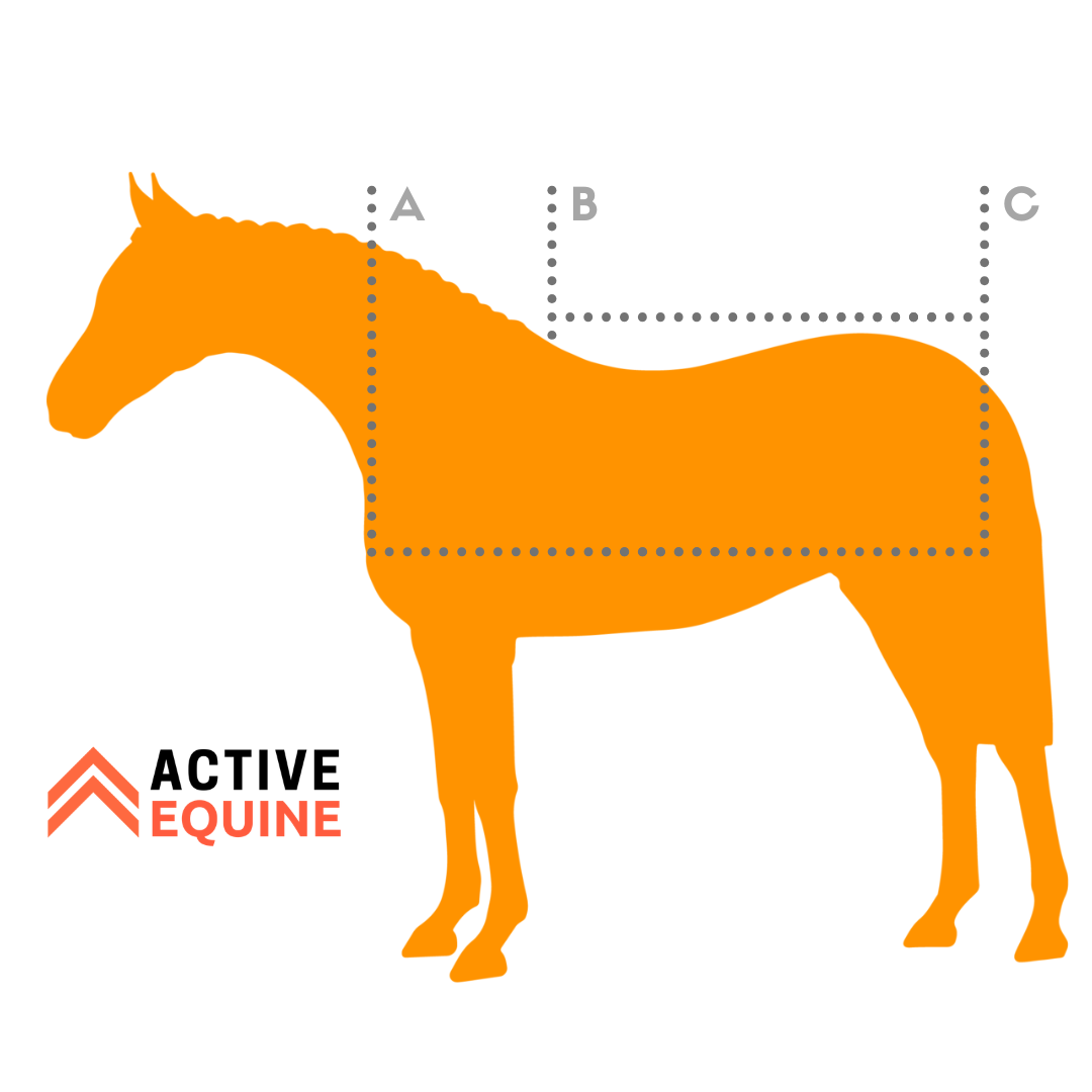 Horse Rug Size Chart: How to Measure Your Horse