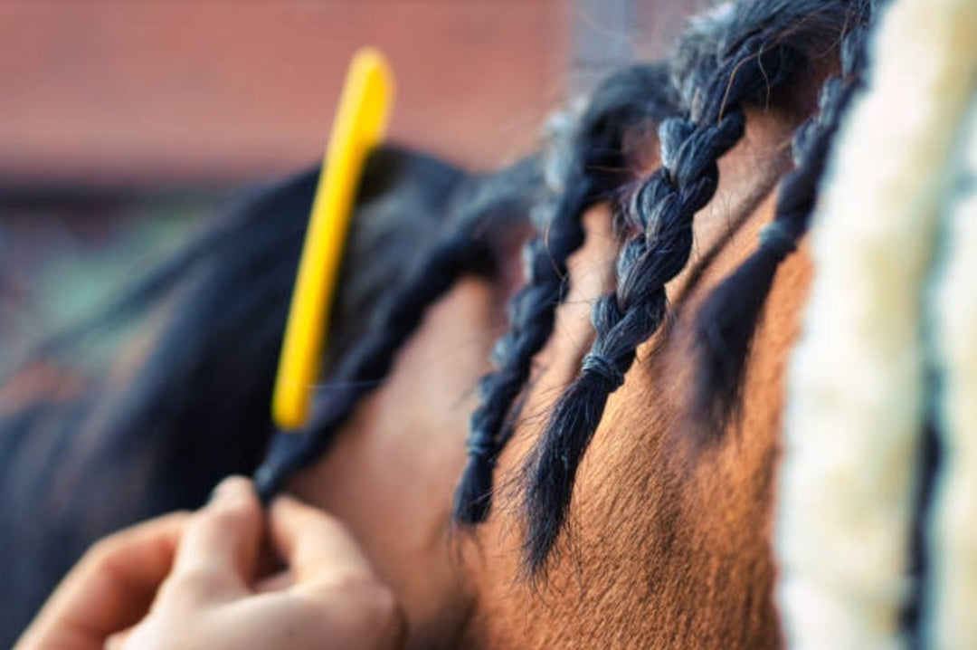 A Beginners Guide To Braiding Horse Hair - Active Equine