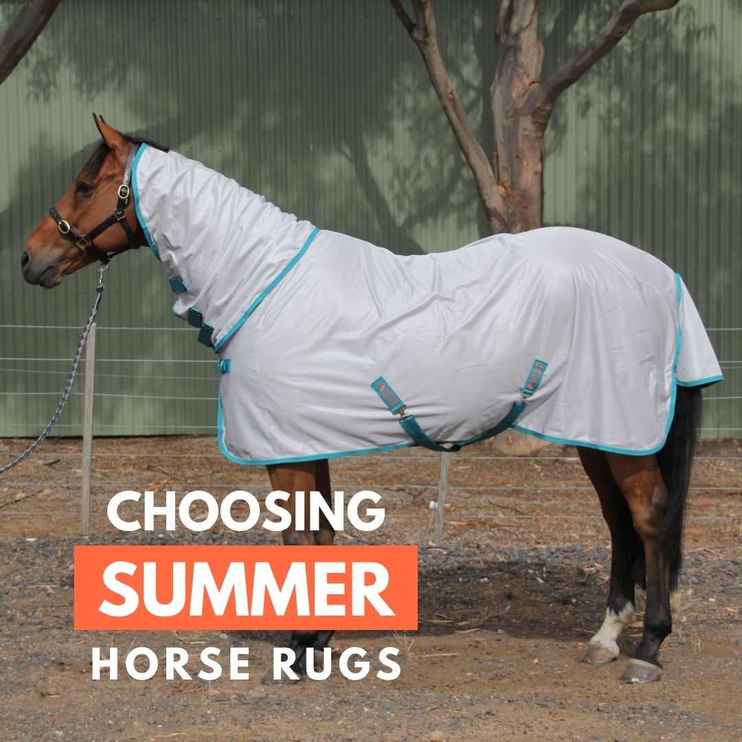 Choosing the right summer rug for your horse - Active Equine