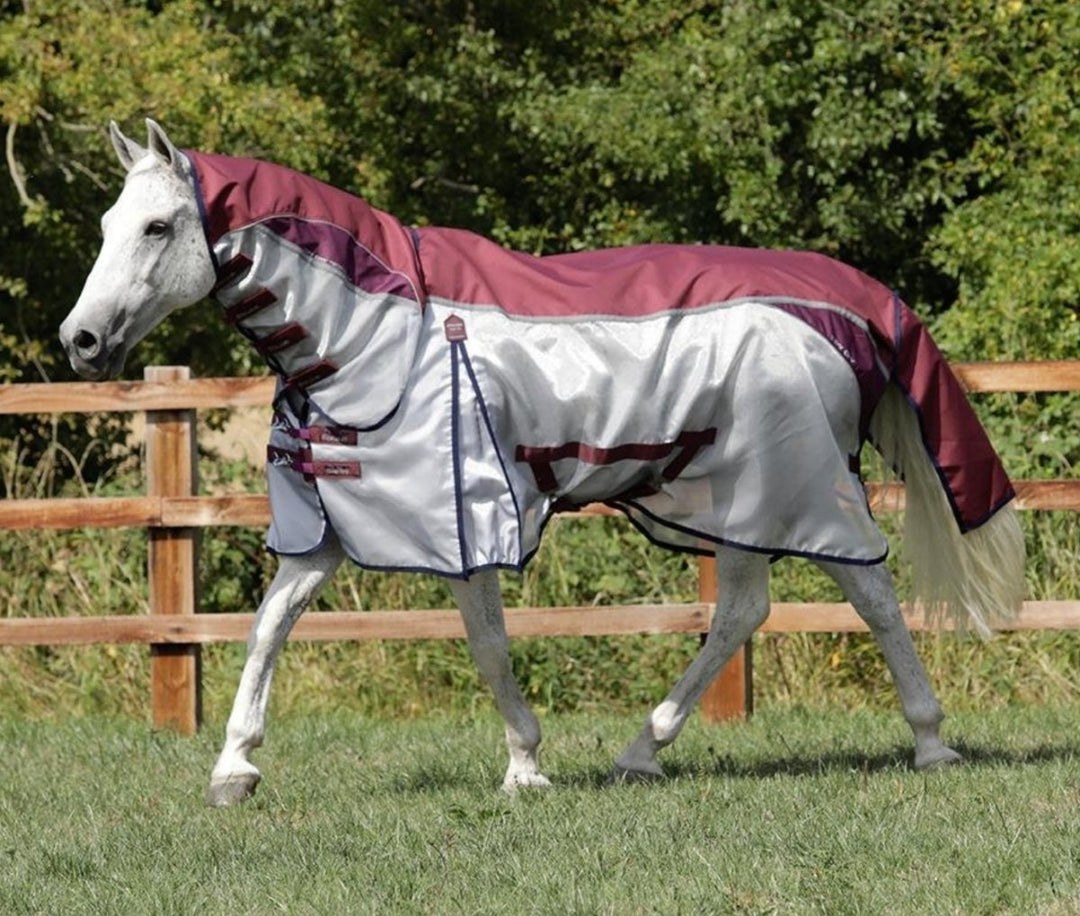 Essential Summer Products For Horses - Active Equine