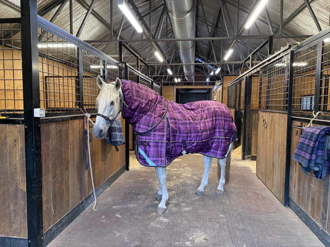 Horse Rug Fill Weights Explained: Which Weight Does Your Horse Need for an Irish Winter?