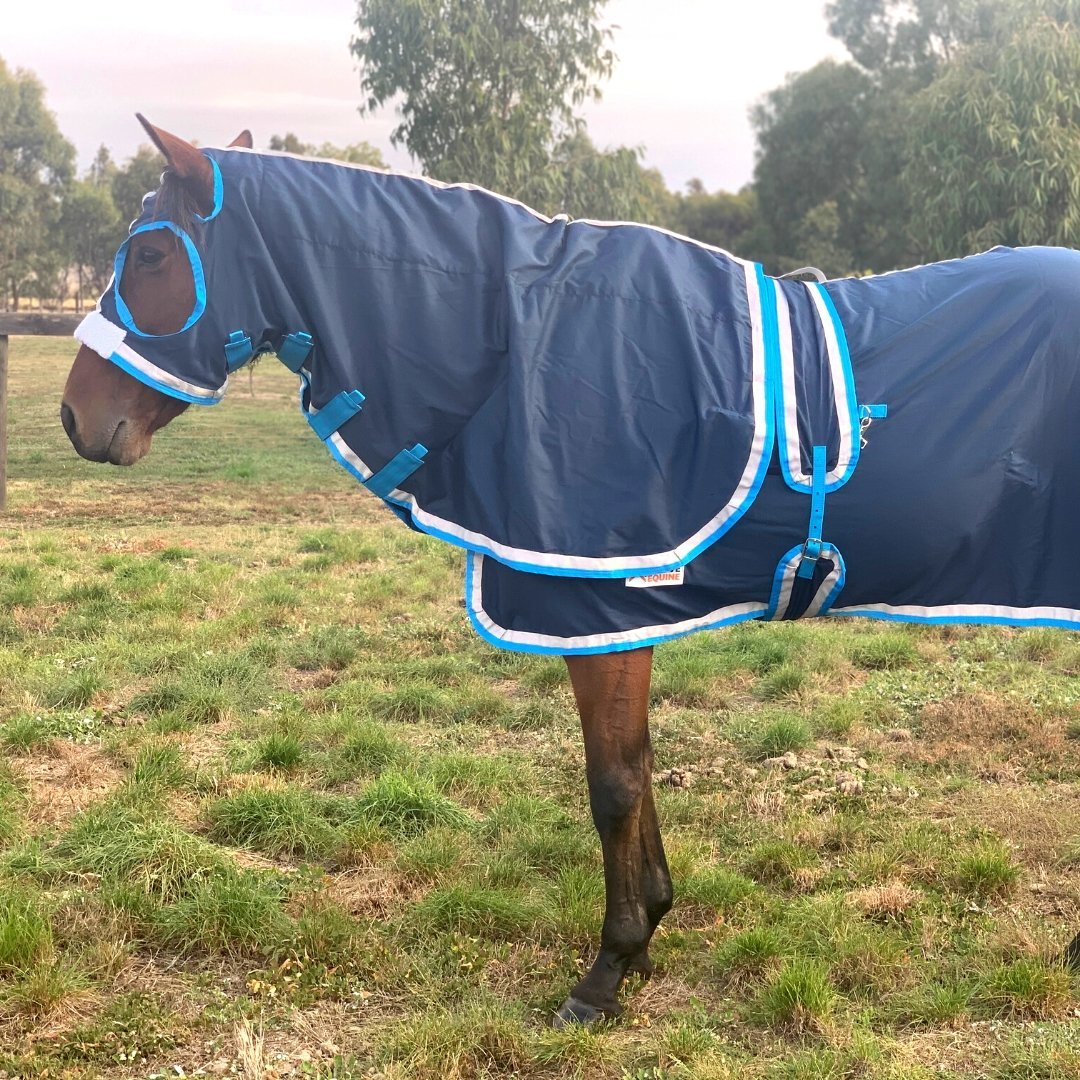Horse Show Rug Sets are the best! Here's why! - Active Equine