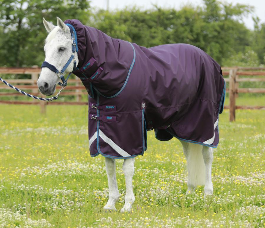 How many grams is the right weight rug for my horse? - Active Equine