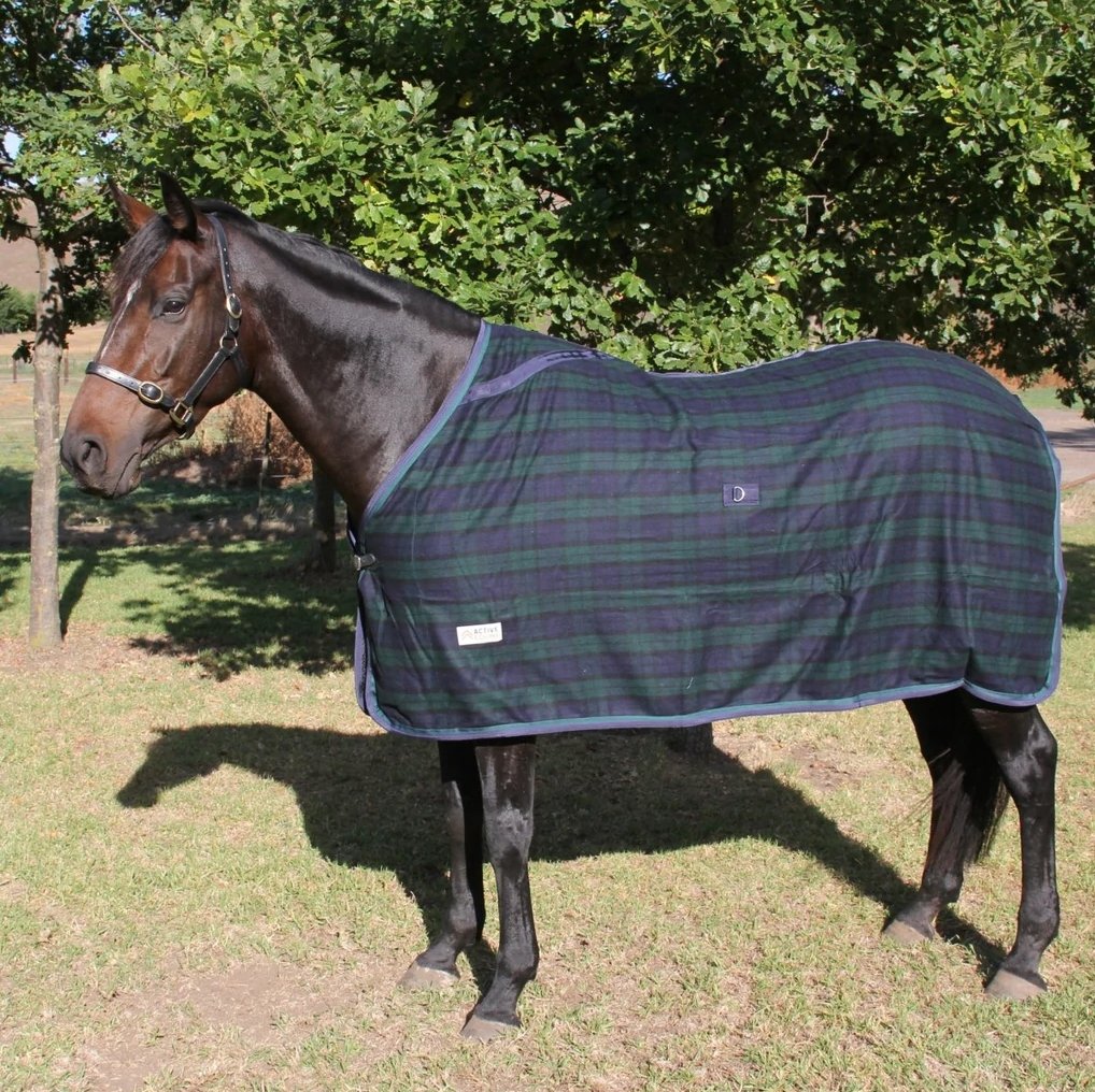 Part 1 - What Are Winter Horse Rugs Made Of? - Active Equine