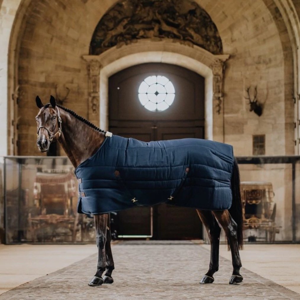 Part 2 - What Winter Horse Rug Do I Need? - Active Equine