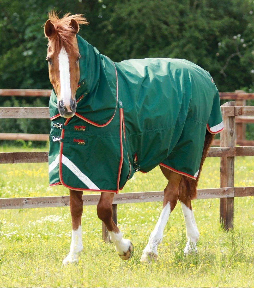 Rainsheet Horse Rugs, does my horse need one? - Active Equine