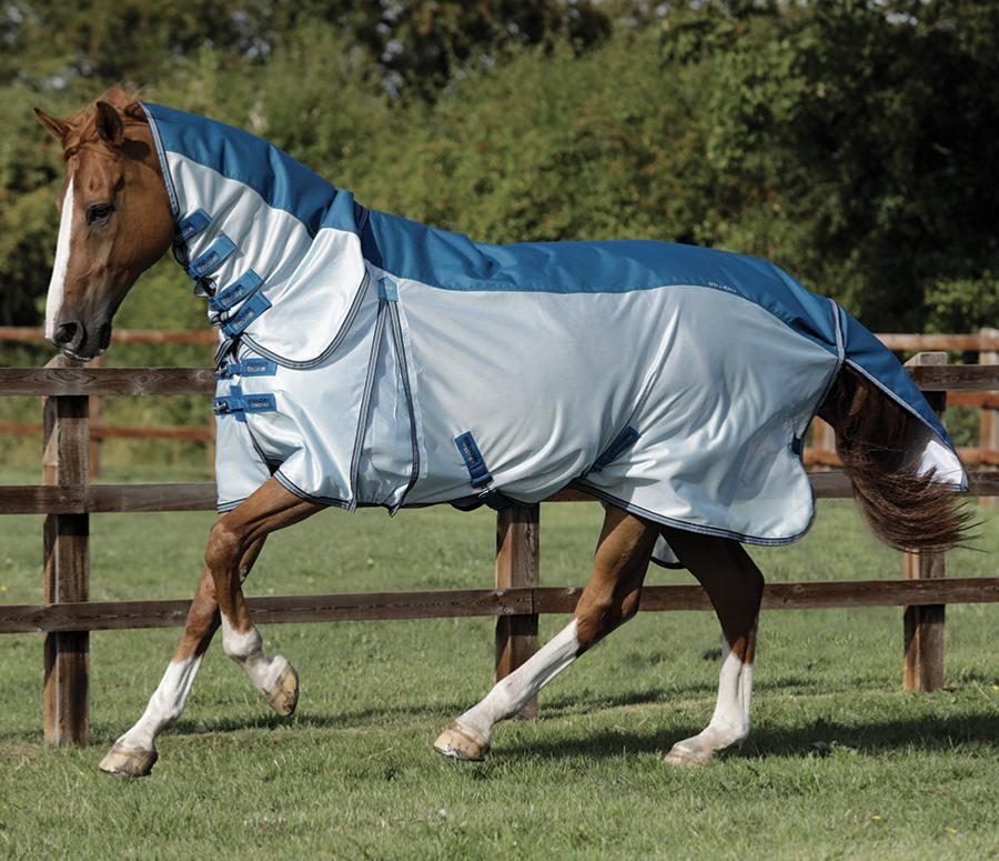 Rugging Horses in Australia - Active Equine