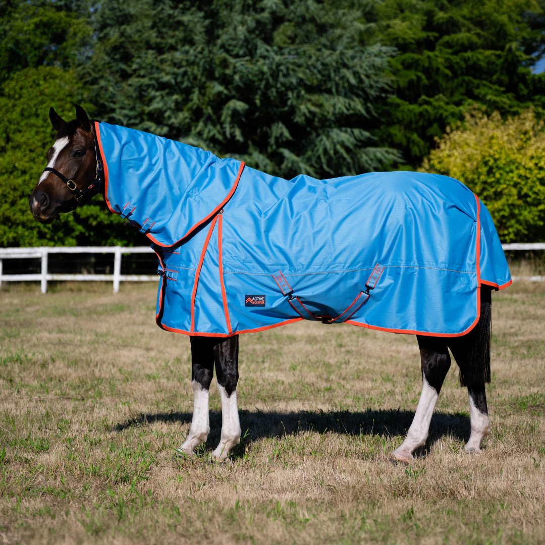 Horse Rain Sheets - Active Equine