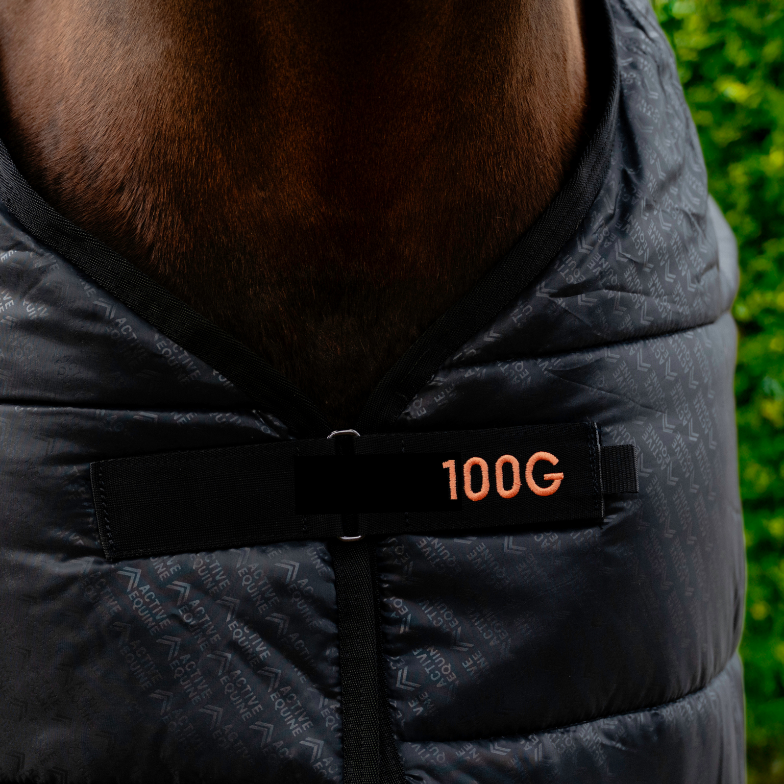 AE Liner Rug 100g - Active Equine