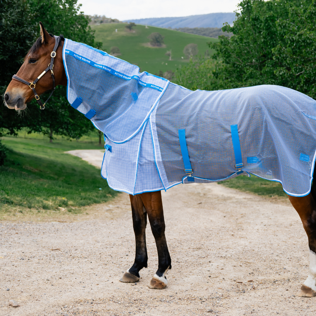 AE EnduraGuard Mesh Combo - Active Equine
