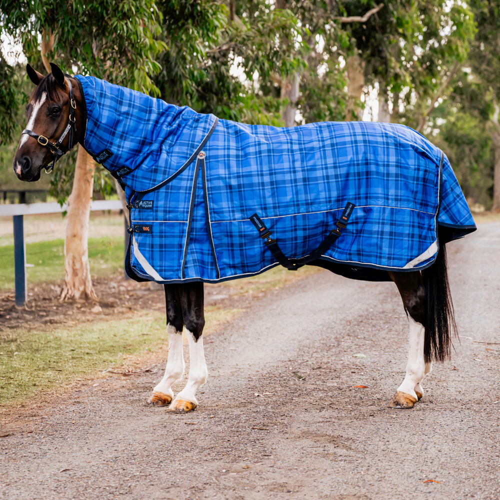 AE Freedom Detach-a-neck Combo 100g - Active Equine