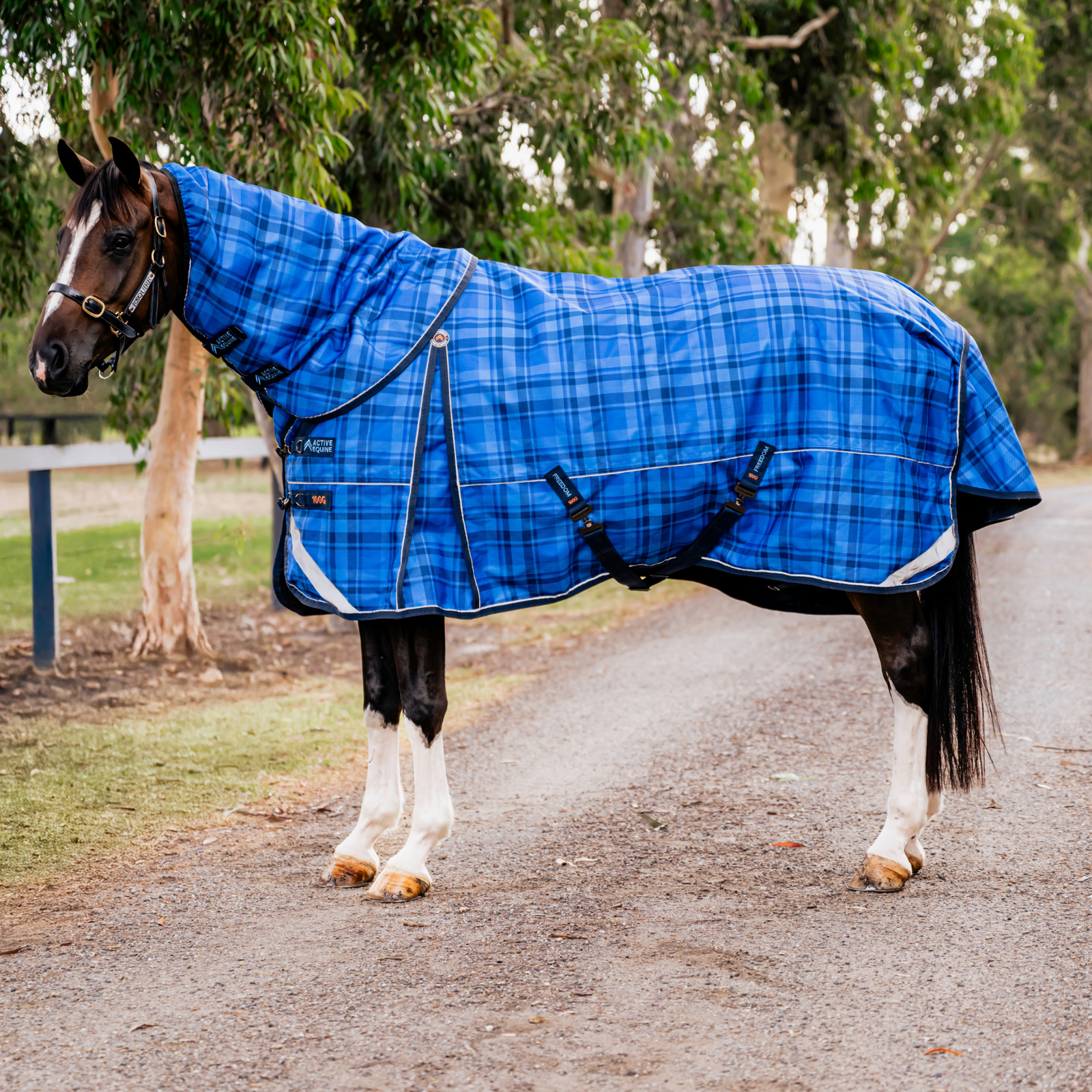 AE Freedom Detach-a-neck Combo 100g - Active Equine
