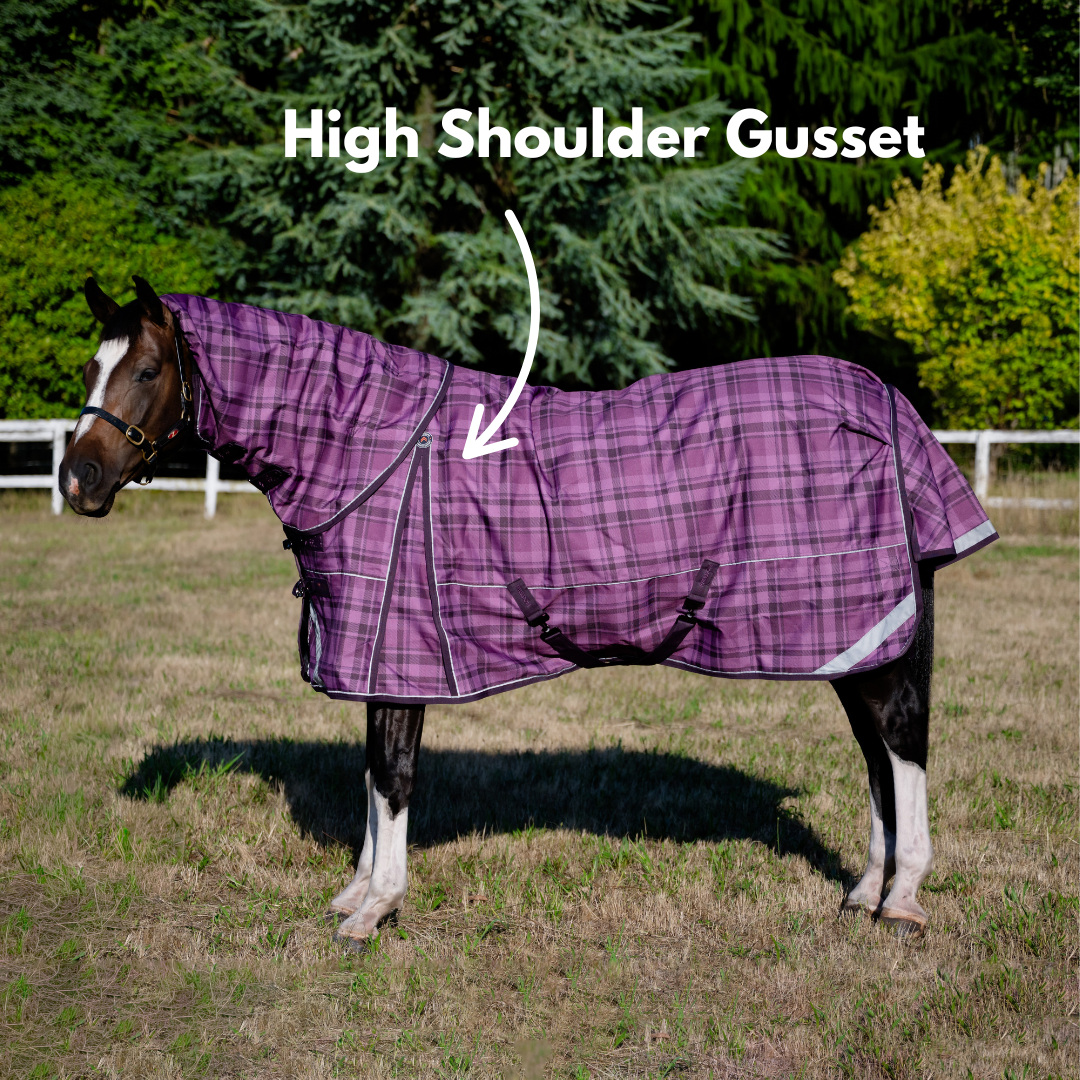 AE Freedom Detach-a-neck Combo 50g - Active Equine