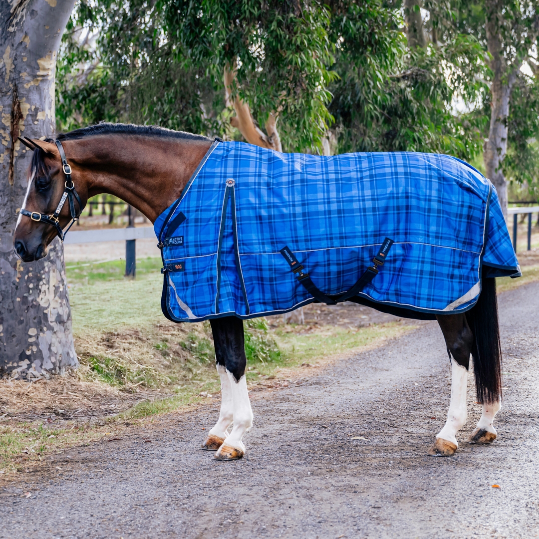 AE Freedom Detach-a-neck Combo 100g - Active Equine