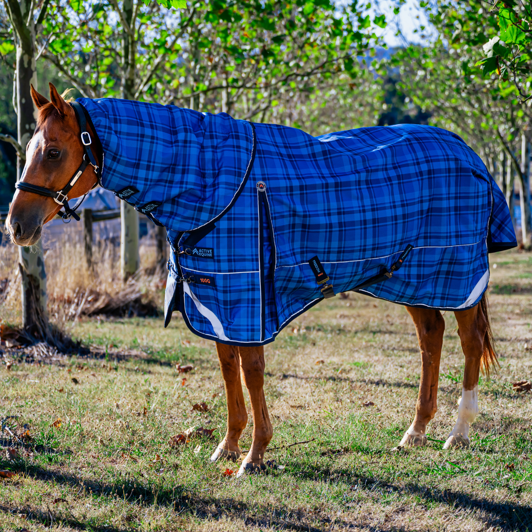 AE Freedom Detach-a-neck Combo 100g - Active Equine