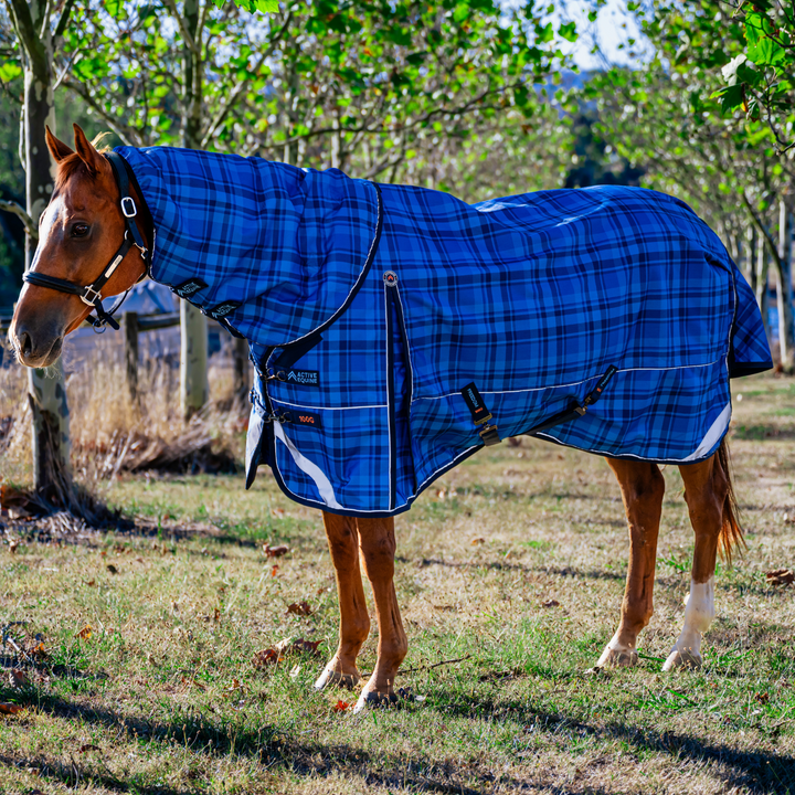 AE Freedom Detach-a-neck Combo 100g - Active Equine