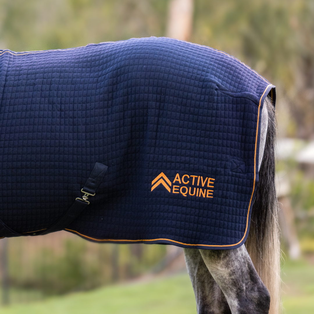 Thermotex Horse Rug | Active Equine - Active Equine