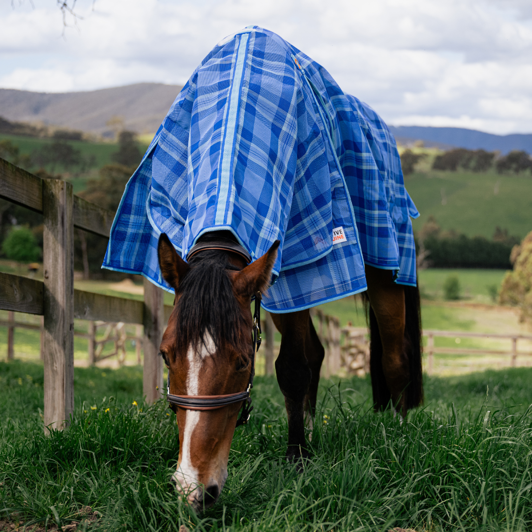 PVC Shade Mesh Combo Horse Rug - Active Equine