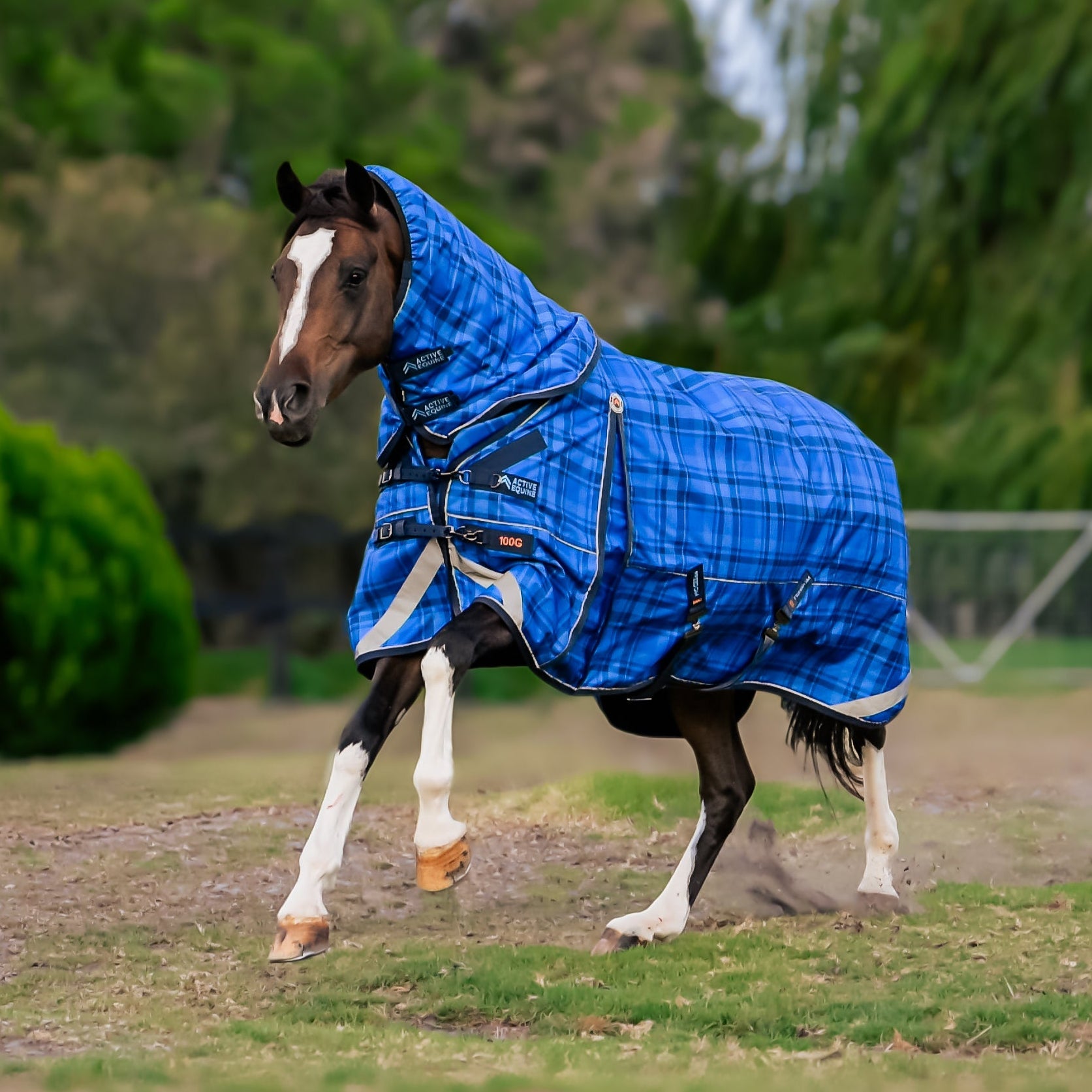 AE Freedom Detach-a-neck Combo 100g - Active Equine