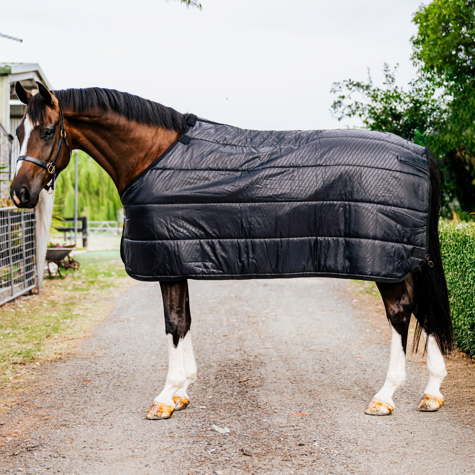 AE Liner Rug 100g - Active Equine